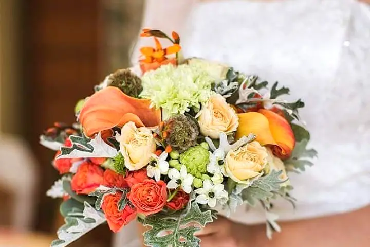 Rameau Fleuri — photo 3