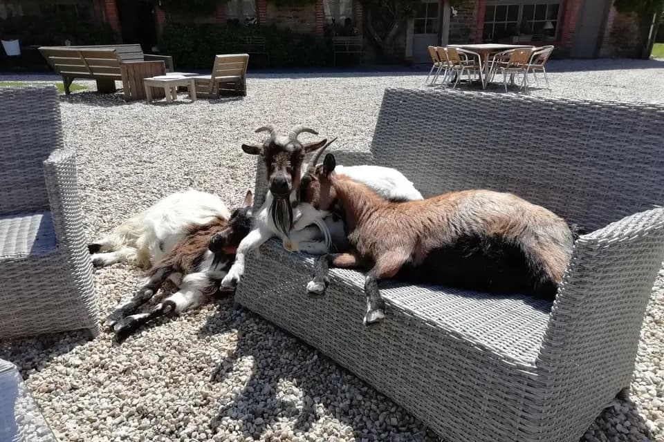 Le Manoir du Quengo — photo 6