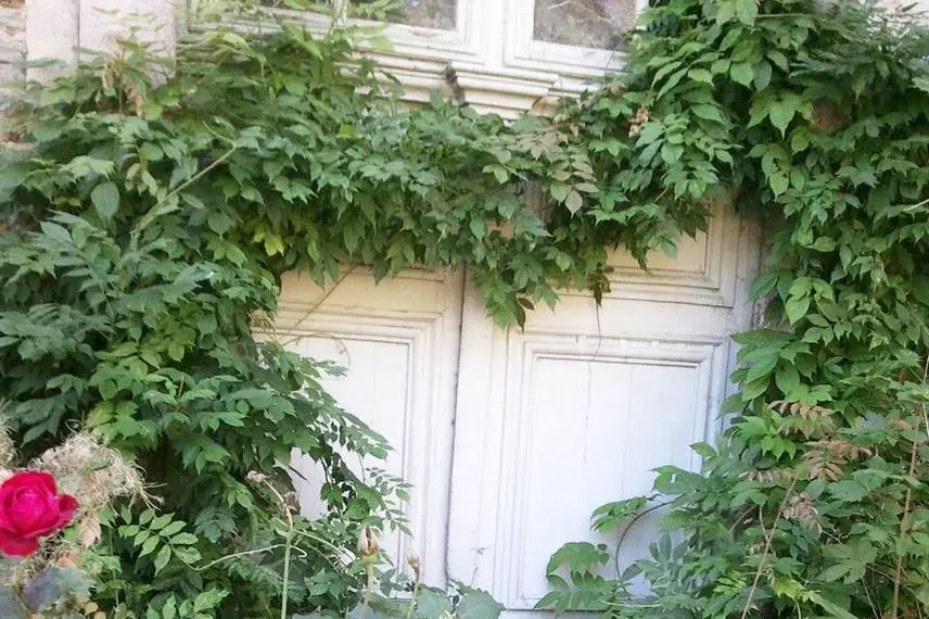 Le Manoir du Quengo — photo 4