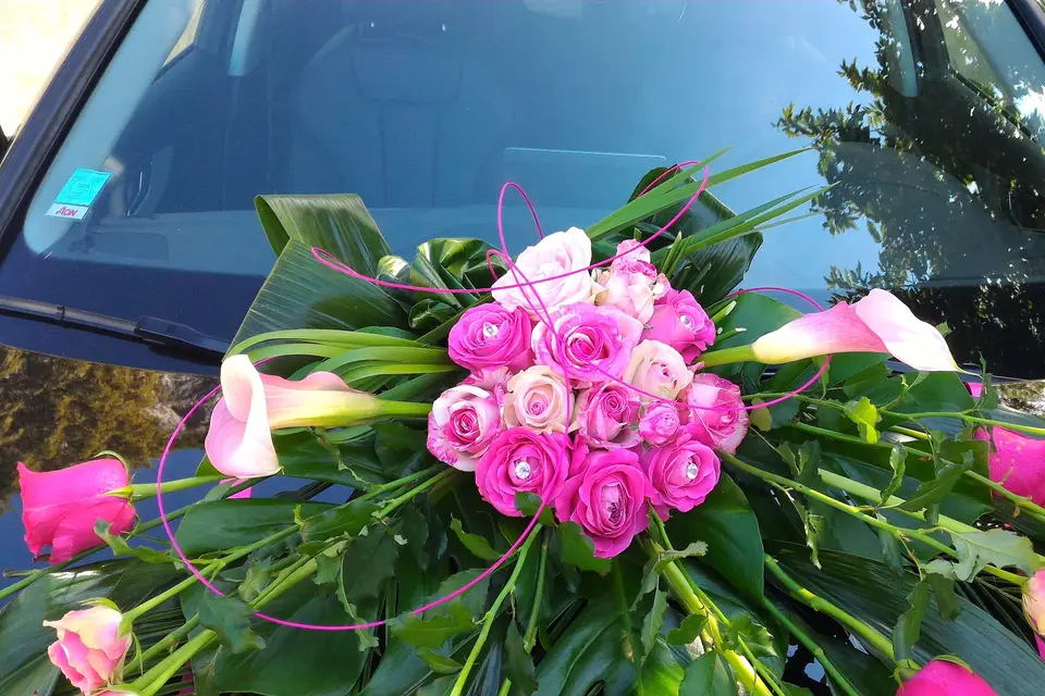 Evènements and fééries — photo 6