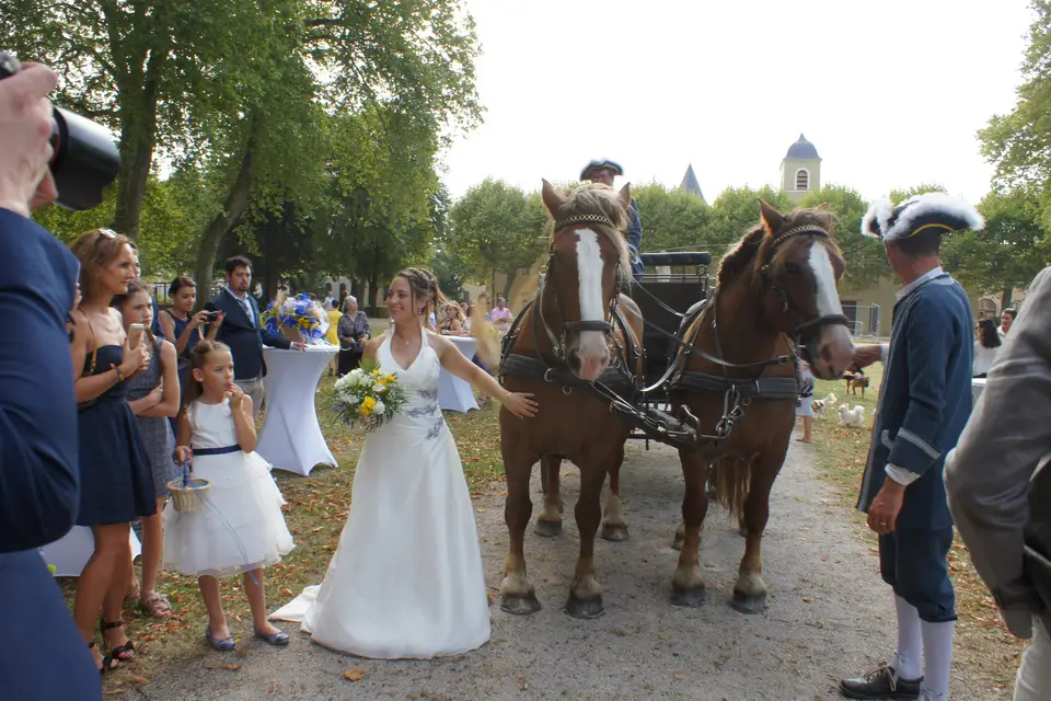 Ferme d'En Gout — photo 4