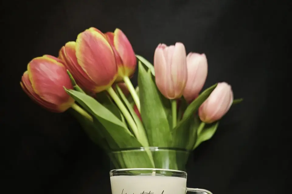 La Petite Lueur — photo 2