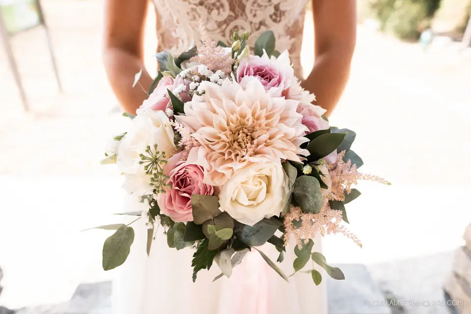 Canopée — photo 3