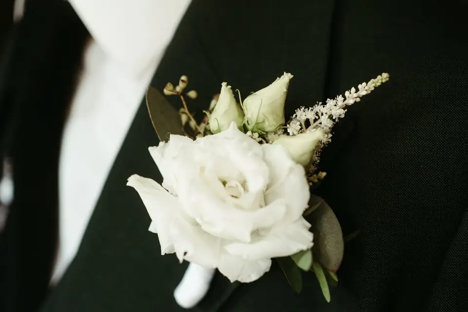 Canopée — photo 6