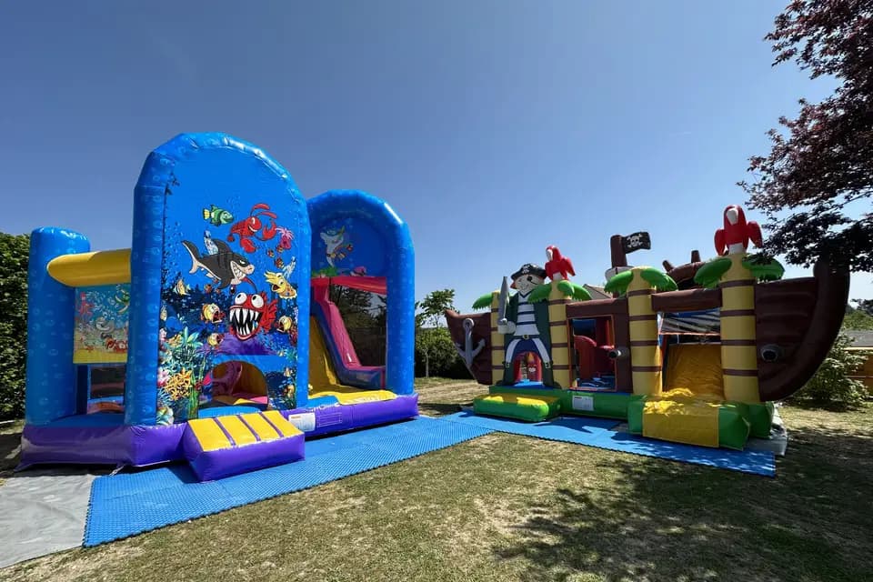 Ouistiti & Kangourou — photo 2