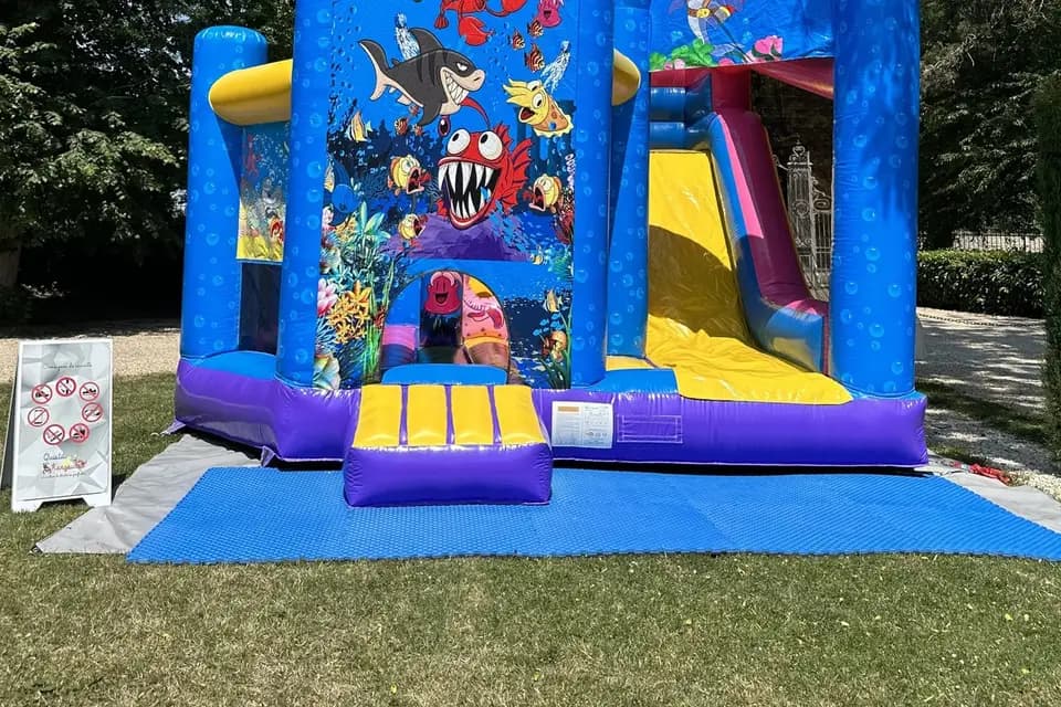 Ouistiti & Kangourou — photo 5