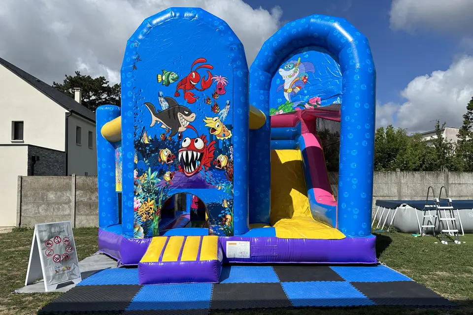 Ouistiti & Kangourou — photo 7