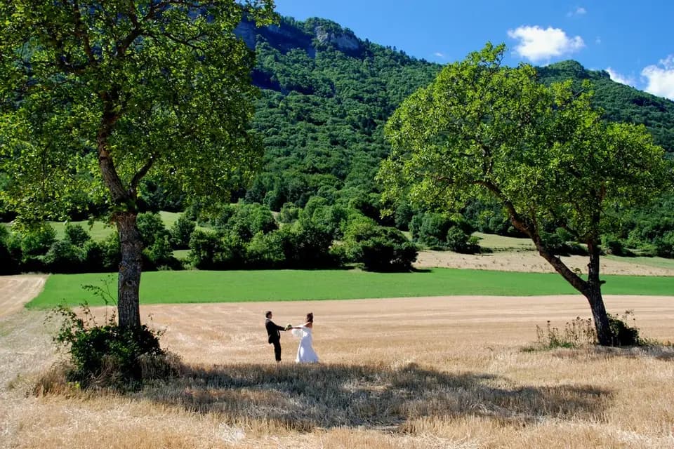 Capteur de Bonheur — photo 6