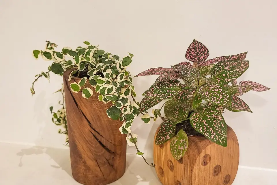 Jolies Gueules de Bois — photo 7