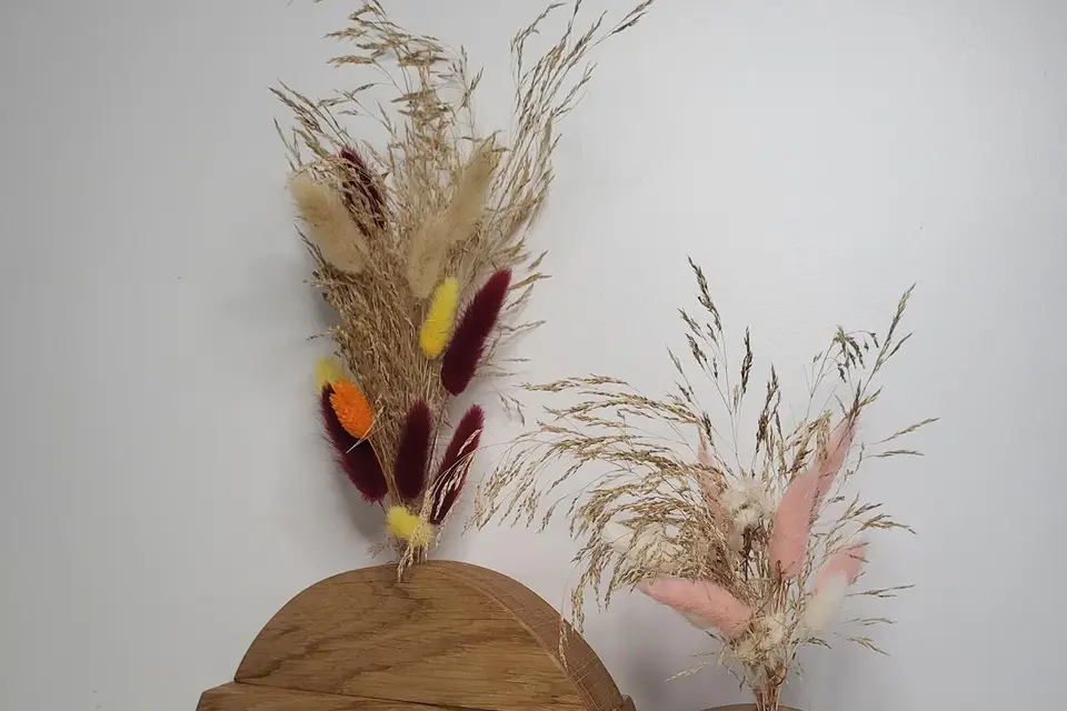 Jolies Gueules de Bois — photo 5