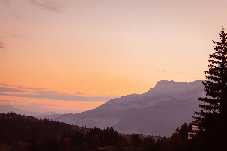 Hôtel L'Arboisie — photo 4