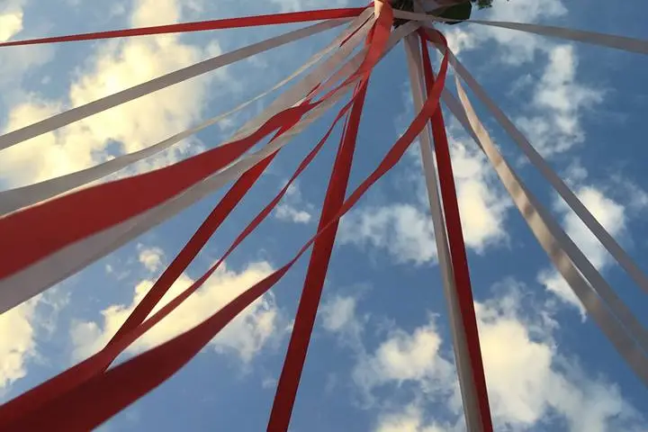 Seize the Day — photo 8