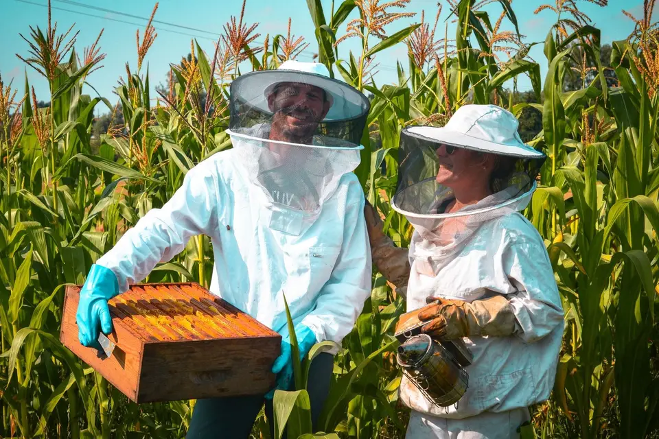 Les Ruchers du Grand Champ — photo 1