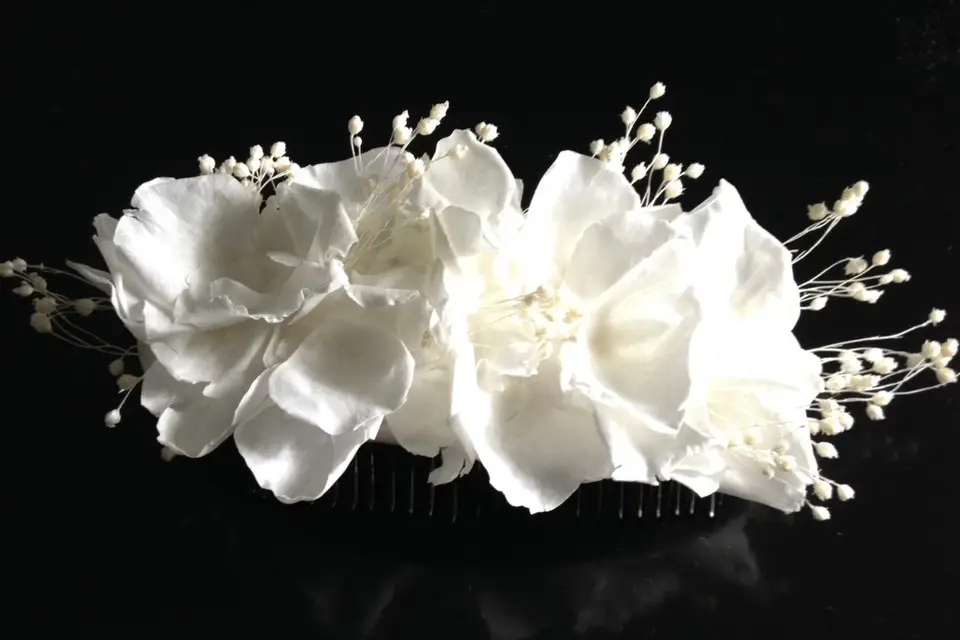 Elizabeth Laroche Modiste