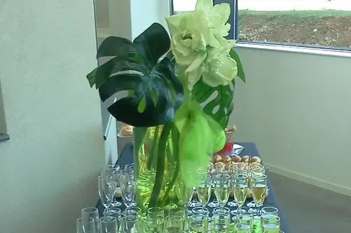 David Traiteur — photo 8