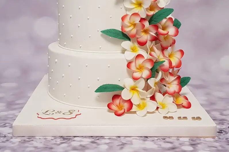 Les Gâteaux de Sofy — photo 1