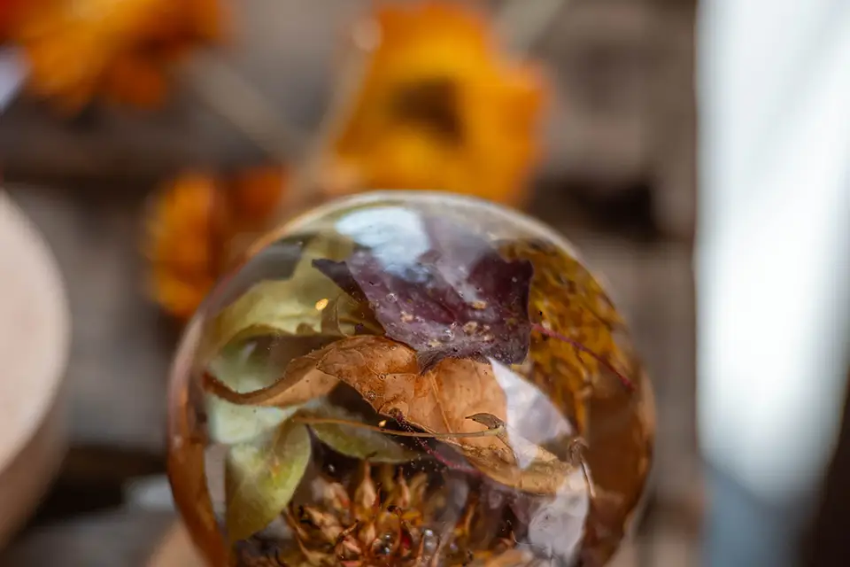 Fleurs d'Ambre — photo 1