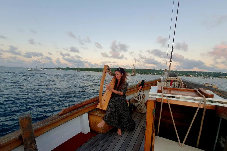 Violaine la harpiste — photo 8