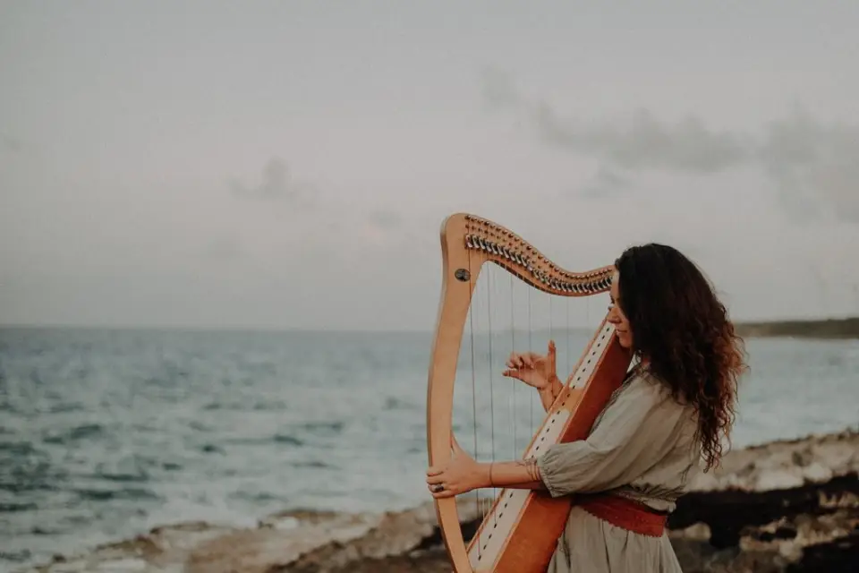 Violaine la harpiste — photo 2