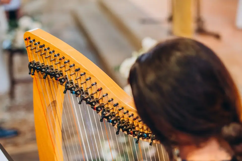 Violaine la harpiste — photo 3