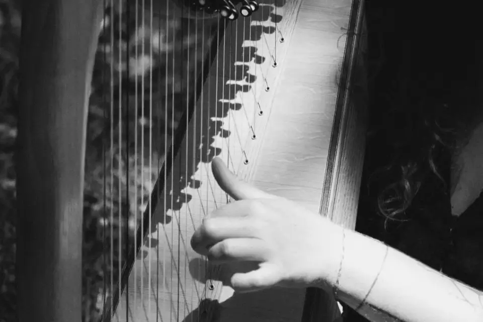 Violaine la harpiste — photo 6