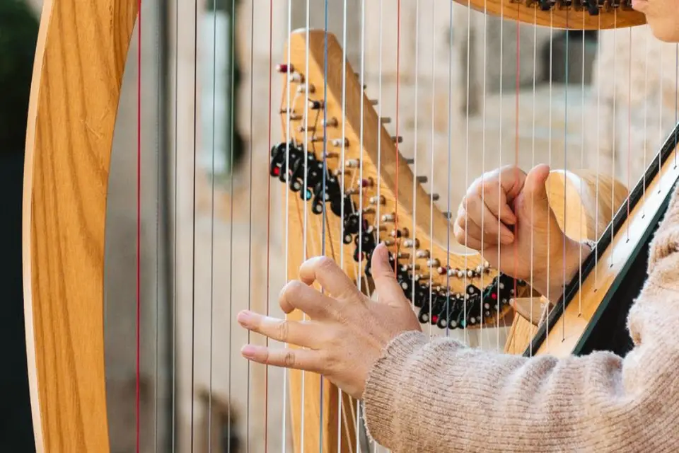 Violaine la harpiste — photo 4