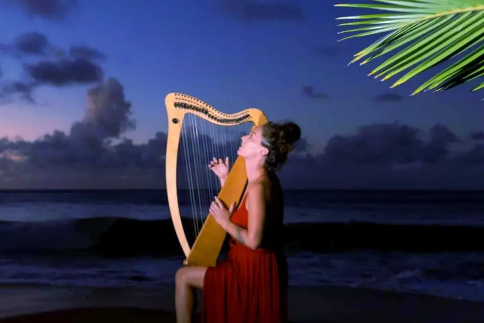 Violaine la harpiste — photo 5