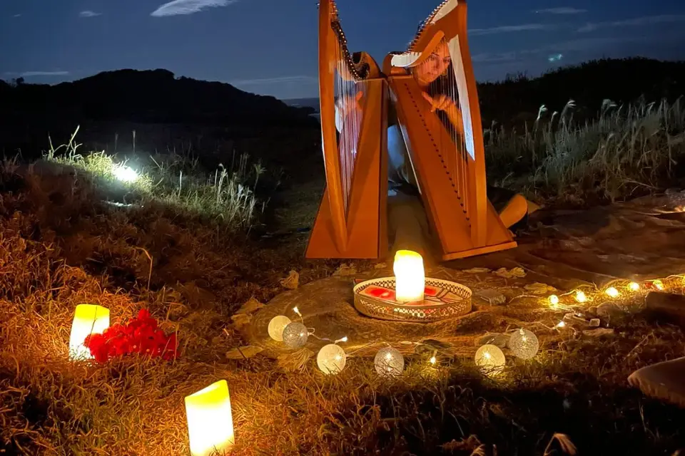 Violaine la harpiste — photo 7