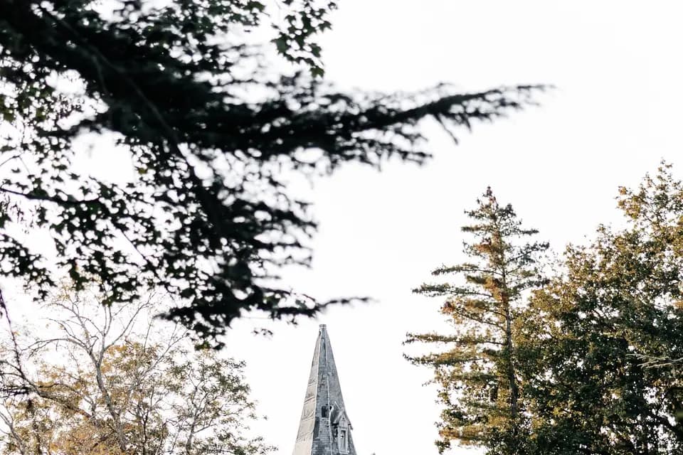 Château de la Ferté Saint Aubin — photo 3
