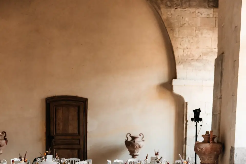 Château de la Ferté Saint Aubin — photo 7