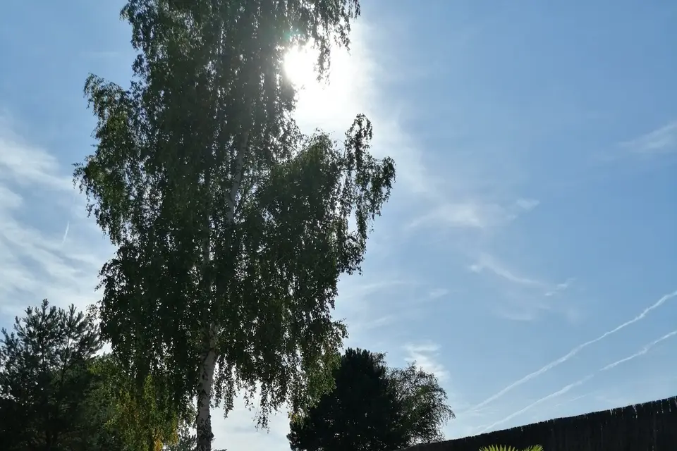 Clos du Moulin Neuf — photo 2