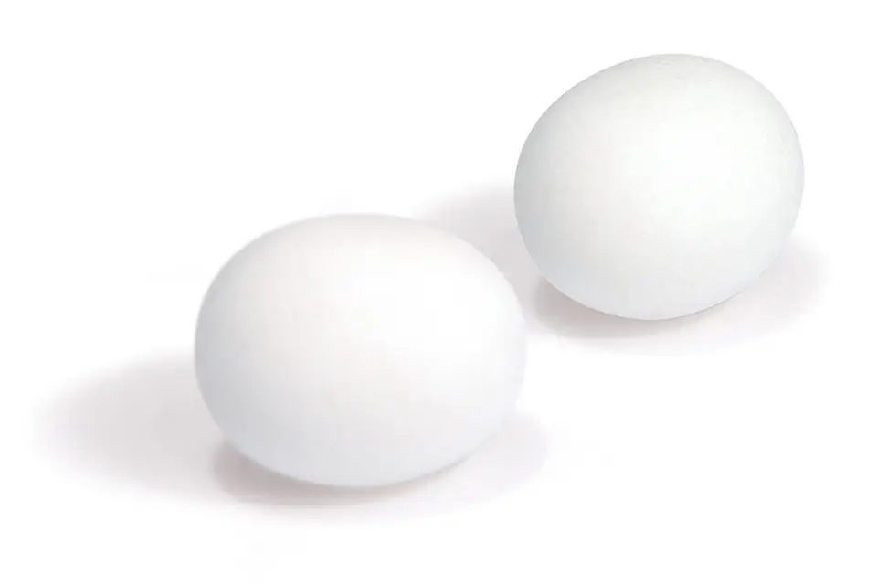 Les Anis de Flavigny — photo 7