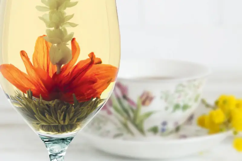 Flora Tea Paris — photo 3