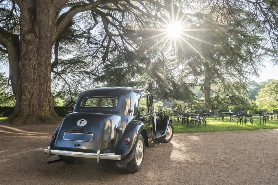 Vintage Loire Tours — photo 1