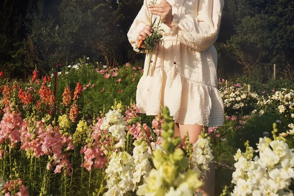 Famille et Fleurs — photo 2