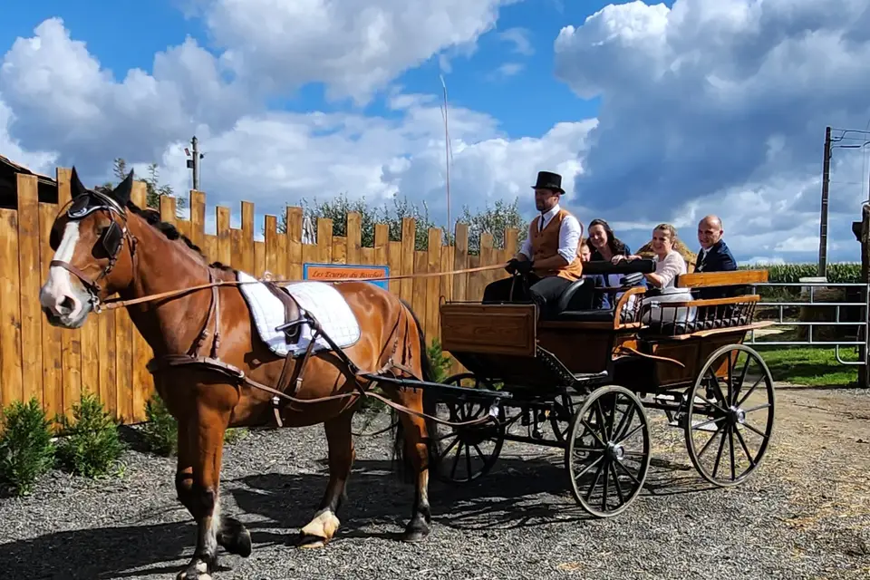 La Table du Boschet — photo 8