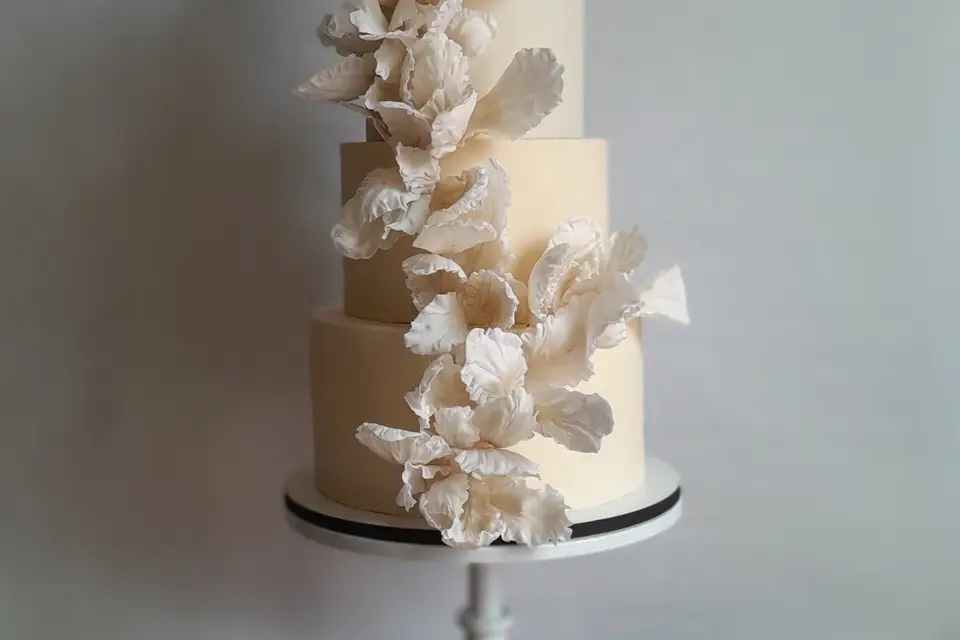 V_O Studio — photo 2