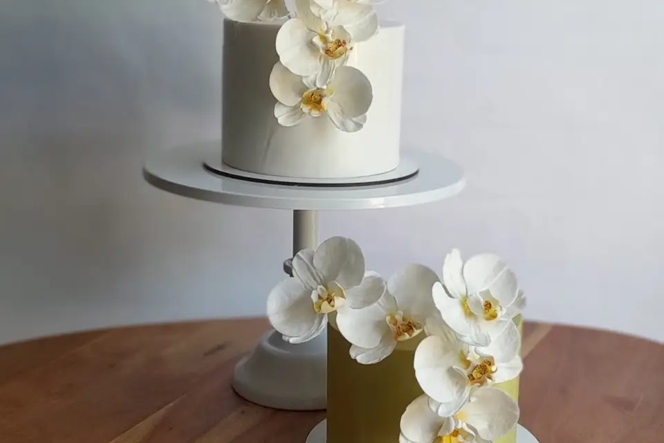 V_O Studio — photo 7