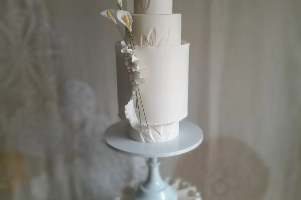 V_O Studio — photo 4