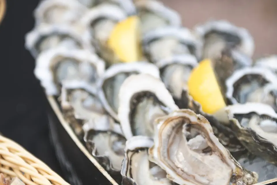 Le Relais Saint Jacques — photo 8