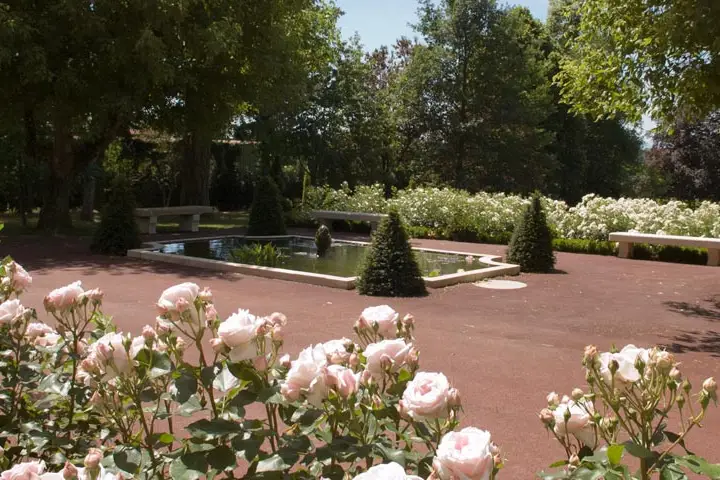 Château de Luponnas — photo 8