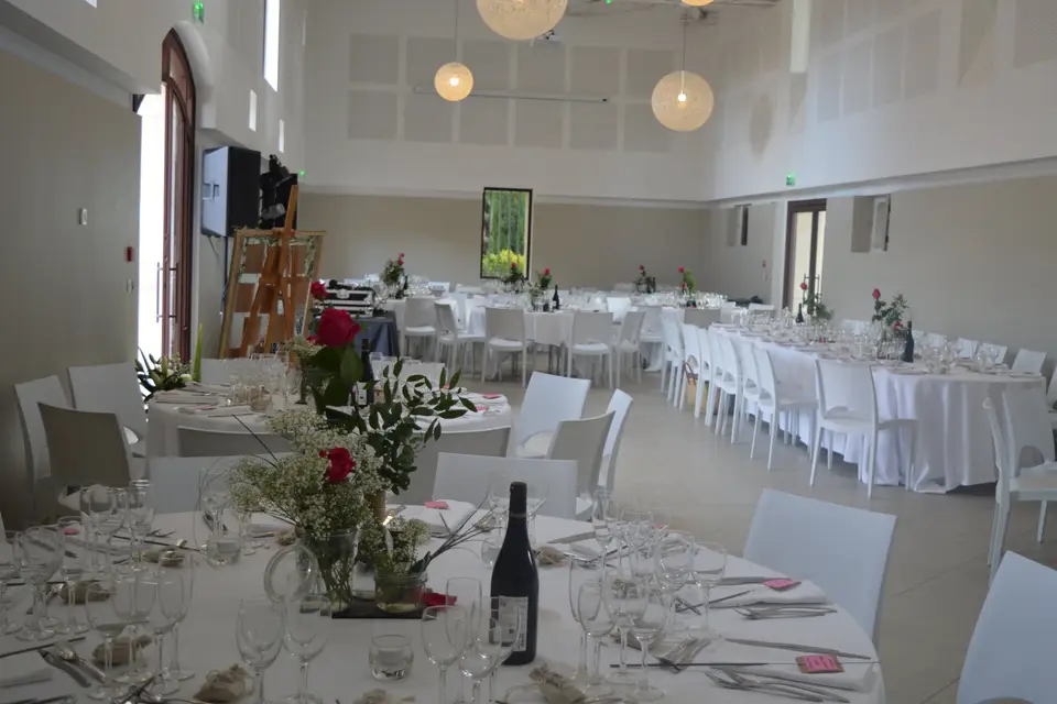 Château de la Mogère — photo 6