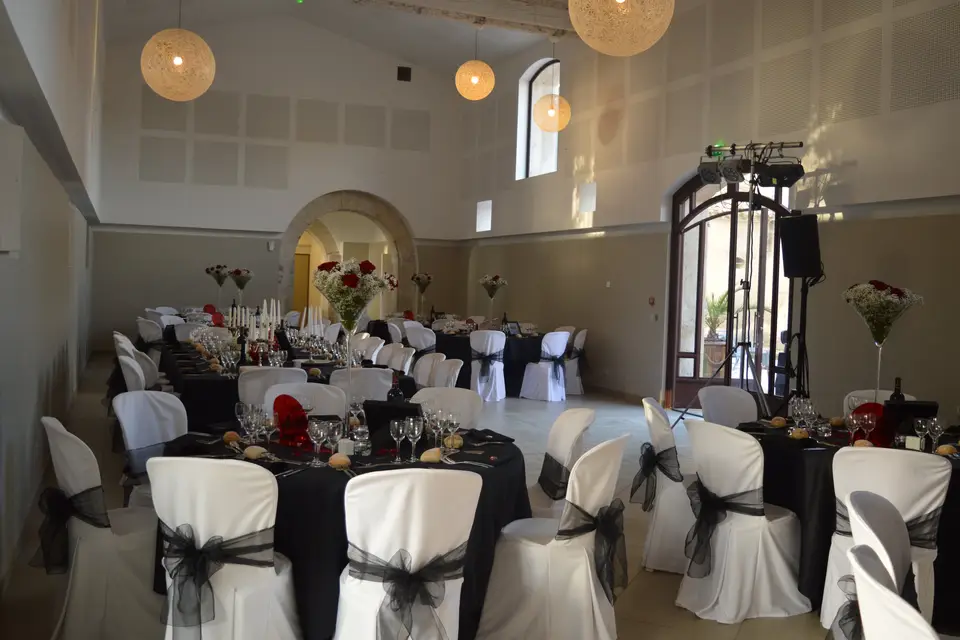 Château de la Mogère — photo 8