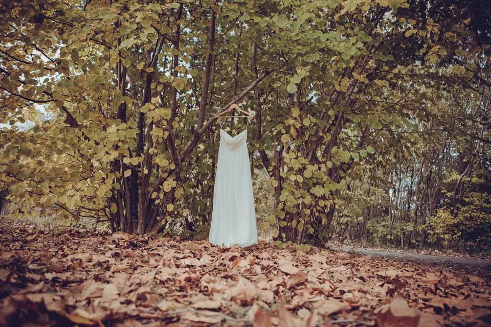 Authentic Mood — photo 4