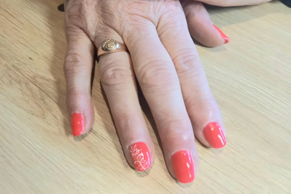 Bioty Zen — photo 5