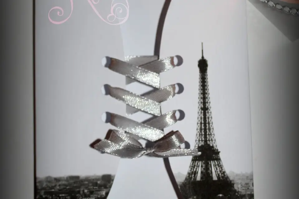 Dentelle & Rose Poudré — photo 3