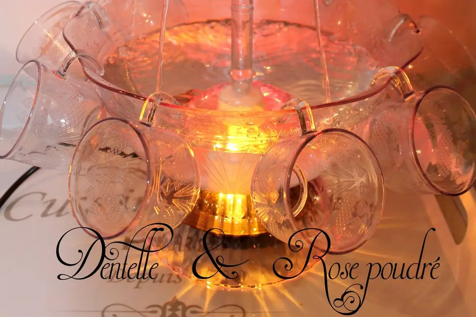 Dentelle & Rose Poudré — photo 5