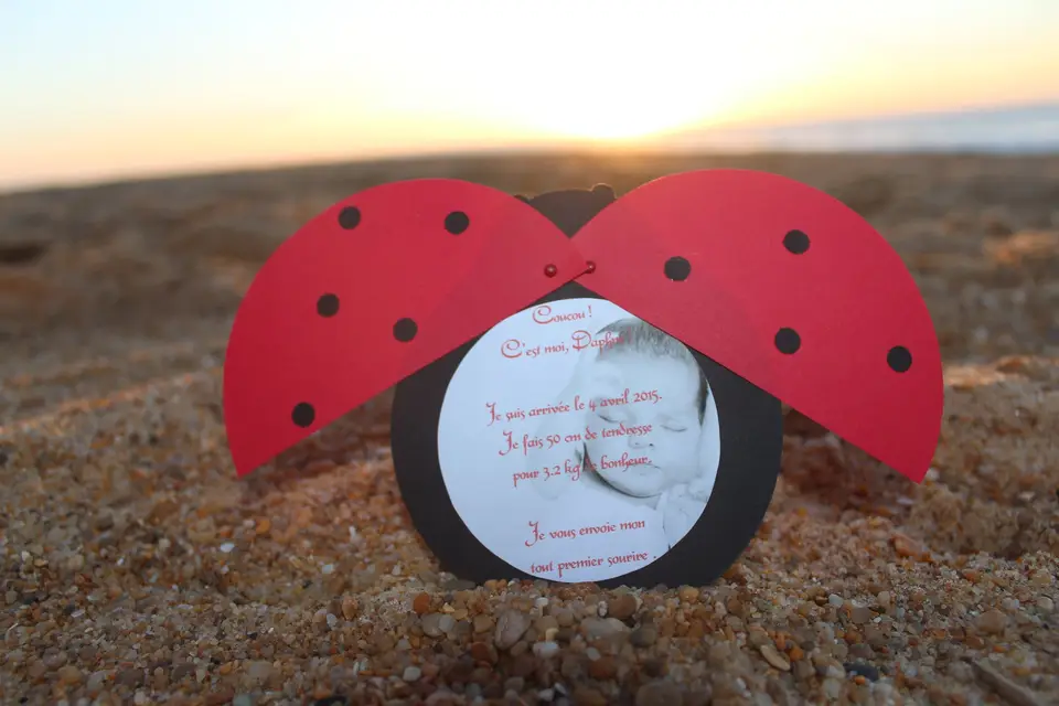 Dentelle & Rose Poudré — photo 8