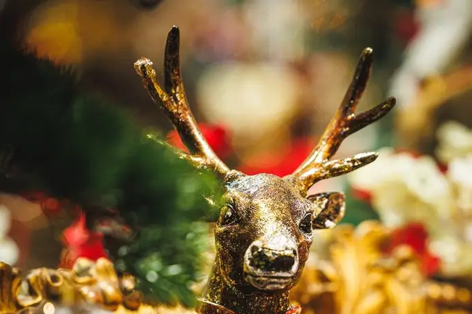 Noël Eternel — photo 3