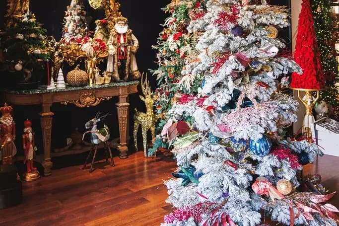 Noël Eternel — photo 4